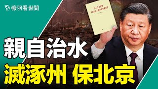 北京看海，河北涿州成汪洋！親自指揮，龍王不認總書記；北京河北洪災是天災還是人禍？｜薇羽看世間 第710期 20230801