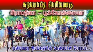 பெரியமாடு - கடியாபட்டி மாட்டுவண்டி பந்தயம் 17.01.2023 #rekla_race_2022 #rekalarace #trending