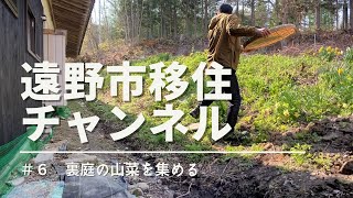 #6 【田舎暮らしの日々】家のまわりに山菜がたくさん生える｜ I found wild plants around my house and ate tenpura udon. (subtitles)