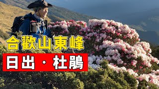 2022 合歡山花季 合歡山東峰 日出 杜鵑 花季期間 停車場都是前一天就來車泊 晚來沒車位