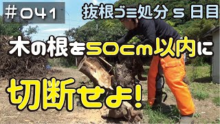 ≪週末DIYから始める移住への道≫ ＃041　根っこ処分5日目　根っこを50cm以内に切断せよ！チェーンソー目立て初心者の末路≪アラフィフ開拓≫