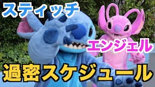 大忙し！ショー出演に急ぐスティッチ\u0026エンジェル【ディズニーランド】