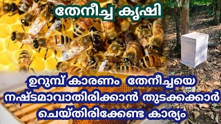 തേനീച്ച പെട്ടി കിട്ടിയാൽ ചെയ്യേണ്ട ആദ്യത്തെ കാര്യം👍# തേനീച്ച കൃഷി #honeybee #honey #കൃഷി #krishi