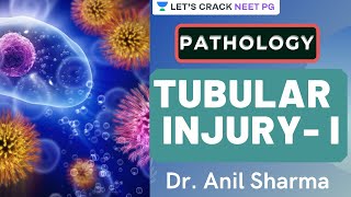 Tubular Injury | Part 1 | NEET PG 2021 | Dr. Anil Sharma