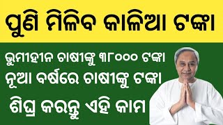 କାଳିଆ ଯୋଜନାରେ  ପୁଣି ଚାଷୀଙ୍କୁ ଟଙ୍କା ୩୮୦୦୦ ଟଙ୍କା ! kalia yojana new update 2024 odisha ! cm kisan