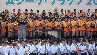 京都橘　ムジーク・プラッツ2017 京都橘と出演バンド合同のフィナーレ大合奏です。 「4ｋ」