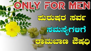 ಬರೀ ಪುರುಷರಿಗೆ ಮಾತ್ರ..! Tribulus Terrestris Benefits For Male | Neggina Mullu | Gokshura Benefits