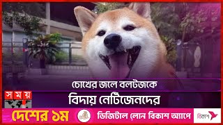 কেন এত জনপ্রিয় ছিল শিবা ইনু জাতের এই কুকুর? | Cheems | Viral Meme Dog | Somoy TV