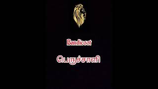 Bandicoot = பெருச்சாளி || Abivathan Thoughts.