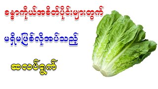 ခန္ဓာကိုယ်အစိတ်အပိုင်းများအတွက်အံ့မခန်းဆလပ်ရွက်