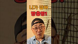 1분 안에 방충망 갈기! - 니가 갈아 방충망! 방충망으로 돈벌기? #shorts #방충망#1분다큐 #공구사용법#방충망교체