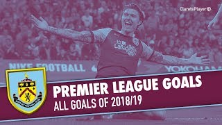 PREMIER LEAGUE | All Goals of 2018/19