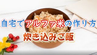 [アルファ米×炊き込みご飯] 食品乾燥機で簡単保存食作り