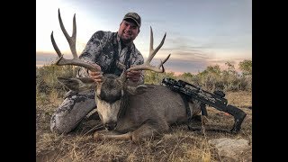 Wyoming Archery Elk and Mule Deer Hunting with Mission Sub1 Crossbow