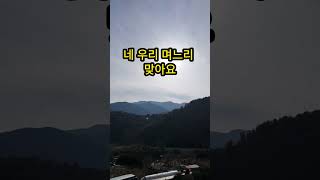 저는 베트남며느리 주위에서 이상한 말을 하네요