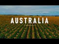 Beautiful Sunflower fields in Cambooya | Darling Downs, Queensland, Australia