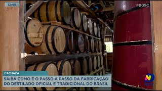 Cachaça: saiba como é o passo a passo da fabricação do destilado oficial e tradicional do Brasil