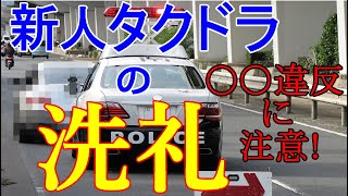 【違反防止】タクシー業界に就職したばかりの新人タクシードライバーの方が収入を確保していく上で「特に」注意するべき交通違反