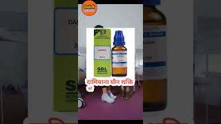 Damiana homeopathic medicine, uses of damiana, how to use damiana, damiana q in hindi, damiana q