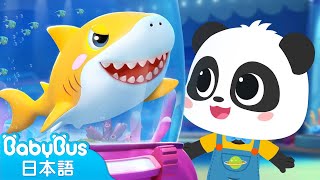 キキミュウミュウとやってみよう★水族館へ行こう | 赤ちゃんが喜ぶ歌 | 子供の歌 | 童謡 | アニメ | 動画 | ベビーバス| BabyBus