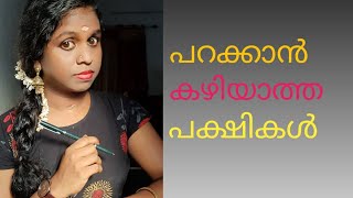 പറക്കാൻ കഴിയാത്ത പക്ഷികൾ || Birds that cannot fly.#malayalam #Birds# kerala psc