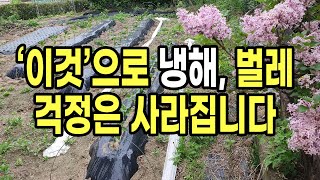 '이것'으로 냉해는 물론 벌레 걱정까지 사라집니다.