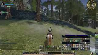 LOTRO: Captain CoOp w/ SkyFlame #4 - To Gondamon! [Lord of the Rings Online Gameplay] 2014 HD