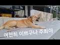 날씬이 주희와 ㅡ 예정된 강산이 밥 ㅠㅠ