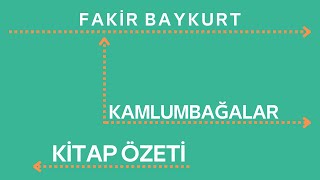 FAKİR BAYKURT KAMLUMBAĞALAR KİTAP ÖZETİ