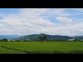 藍天白雲 blue sky and white clouds