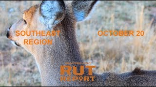 Southeast Rut Report: Young Bucks Are Dogging Does