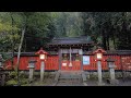 kyoto rain walk arashiyama in autumn japan 4k asmr binaural rain ambience sounds