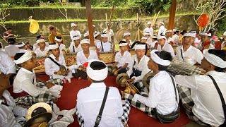 TABUH BEBARONGAN CILIK TARO KELOD | PESAMUAN AMUNDUK TARO