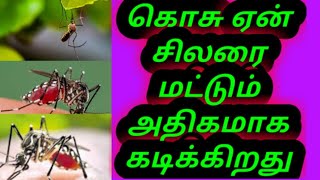 கொசு ஏன் சிலரை மட்டும் அதிகமாக கடிக்கிறது? | mosquito bite | why mosquito 🦟 bites someone?