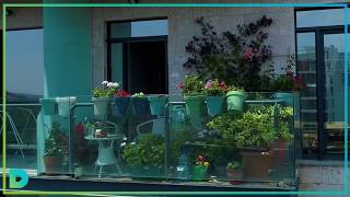 მწვანე აივანი Green Balcony