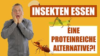 INSEKTEN ESSEN - Eine proteinreiche Alternative?!