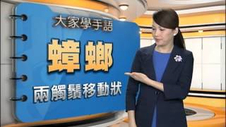 20150303 公視手語新聞 手語新聞通 蟑螂