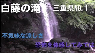 白藤の滝（三重県伊賀市）2021/7