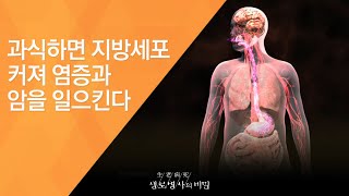 과식하면 지방세포 커져 염증과 암을 일으킨다 - (2016.12.7_603회 방송)_암스트롱-만병의 근원 비만이 암까지