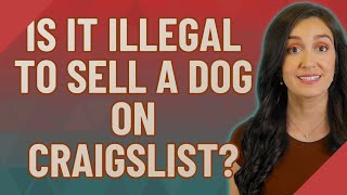 Is it illegal to sell a dog on Craigslist?