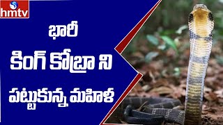 భారీ కింగ్ కోబ్రా ని పట్టుకున్న మహిళ | hmtv