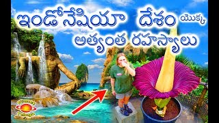 Indonesia Country Facts in Telugu ( ఇండోనేషియా దేశంలోని రహస్యాలు ) by Planet Telugu