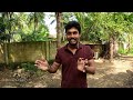 யாழில் bsc degree பட்டதாரியின் பண்ணை jaffna farm tour jaffna suthan