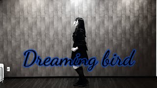 「Dreaming bird」／白銀リリィ 踊ってみた🕊‎❄