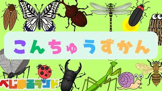 こんちゅう図鑑♪パズルをしながらおぼえよう！【知育アニメ】【赤ちゃん・子ども向け】