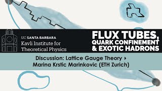 Discussion: Lattice Gauge Theory ▸ Marina Krstic Marinkovic (ETH Zurich)