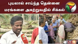 விவசாயிகளுக்கு சோதனை மேல் சோதனை! புயலால் சாய்ந்த தென்னை மரங்களை அகற்றுவதில் சிக்கல்