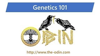 Genetics 101 - Class 1