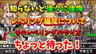 [ドラクエウォーク]ちょっと待った‼️効率のいいレベリングのコツや編成について[DQW]