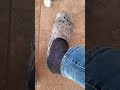 How to fix a shrunken pair of Crocs the easy way!